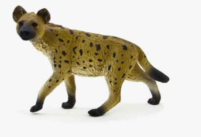 Hyena Png Free Download - Spotted Hyena, Transparent Png, Free Download