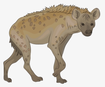 Hyena Clipart, HD Png Download, Free Download
