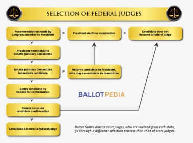 Selection Of Federal Judges Flowchart - Judges Selected, HD Png Download, Free Download