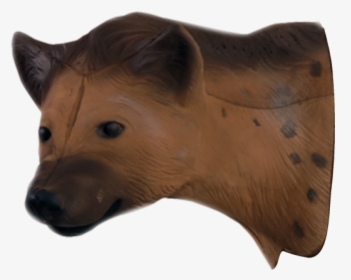 Delta Mckenzie - Spotted Hyena, HD Png Download, Free Download