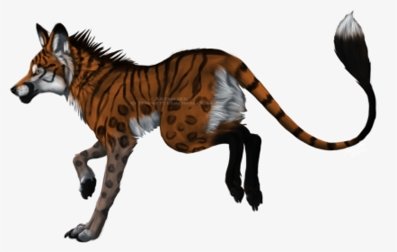 Drawn Hyena Hybrid - Fox And Tiger Mix, HD Png Download, Free Download
