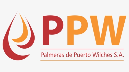 Palmeras De Puerto Wilches, HD Png Download, Free Download