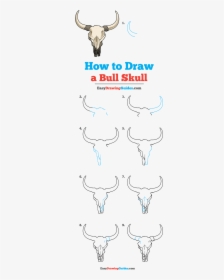 How To Draw Bull Skull - Easy Cow Skull Drawing, HD Png Download, Free Download