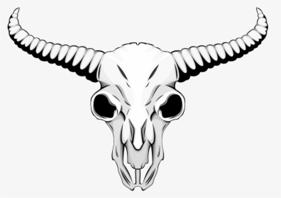 Skull , Png Download - Animal Skull Drawing, Transparent Png, Free Download