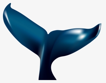 Whale Tail Blue Whale Clip Art, HD Png Download, Free Download