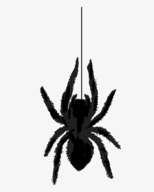 Spider Library Spiders Clipart Vintage Silhouette Free - Silhouette Spider Black Clipart, HD Png Download, Free Download