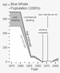 Blue Whale Endangerment Charts, HD Png Download, Free Download