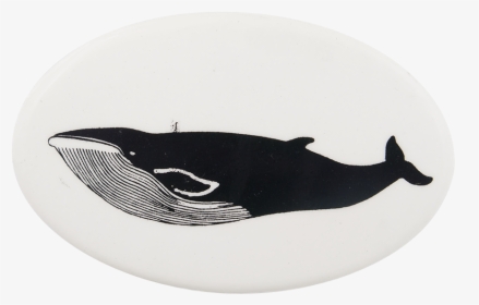 Blue Whale 3 Art Button Museum - Blue Whale, HD Png Download, Free Download
