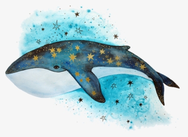 #tumblr #whale #bluewhale #stars #blue - Рисунки Кита, HD Png Download, Free Download