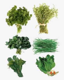 Download Herb S Png Images Background - Png Herbs, Transparent Png, Free Download