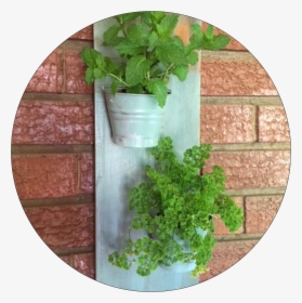 Hanging Herbs - Flowerpot, HD Png Download, Free Download