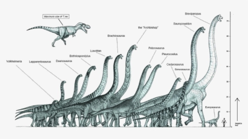 Tallest Dinosaur In The World, HD Png Download, Free Download