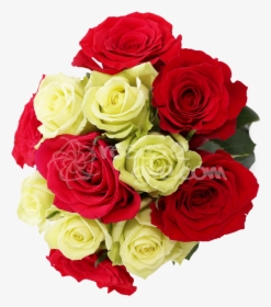 Red And Yellow Rose Png , Png Download - Floribunda, Transparent Png, Free Download