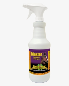 Essential Oil Fly Spray For Horses - Horse Fly Spray, HD Png Download, Free Download