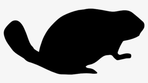 Beaver Png Image Background - Toad, Transparent Png, Free Download
