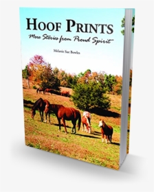 Transparent Horse Hoof Png - Stallion, Png Download, Free Download