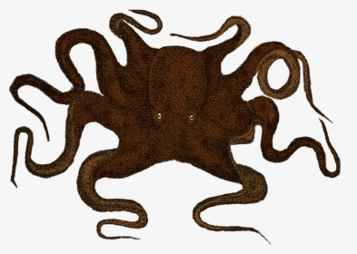 Kraken Clip Art Wall Decal Sticker Octopus - Public Domain Vintage Octopus, HD Png Download, Free Download