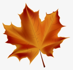 Beautiful Red Autumn Leaf Transparent Png Clip Art - Transparent Background Fall Leaf, Png Download, Free Download