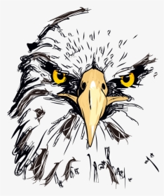 Logo Eagle Face Png, Transparent Png, Free Download