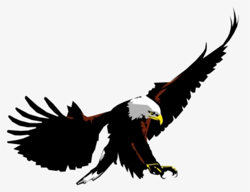 Vector Illustration Of American Bald Eagle National - Del Oro Golden Eagle, HD Png Download, Free Download