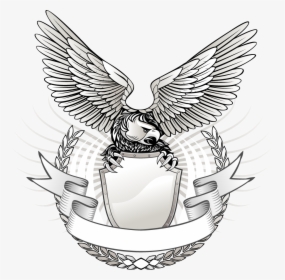 Google Search Eagle Eye Coat Of Arms Wild Eagle Vector Eagle Logo Png Transparent Png Kindpng