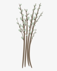 Willow Catkin Willow Branch Twig Free Picture - Illustration, HD Png Download, Free Download