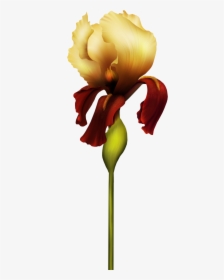Iris Flower Png Clipart - Alfabeto De Orquideas Letrao, Transparent Png, Free Download