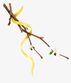 #mq #twig #twigs #leafs #leaf #leaves #nature #yellow - Twig, HD Png Download, Free Download