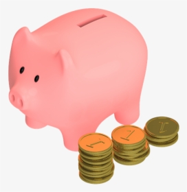 Pig, Animal, Snout, Money, Coins, Piggy, Save, Pennies - Porquinho De Moedas Png, Transparent Png, Free Download