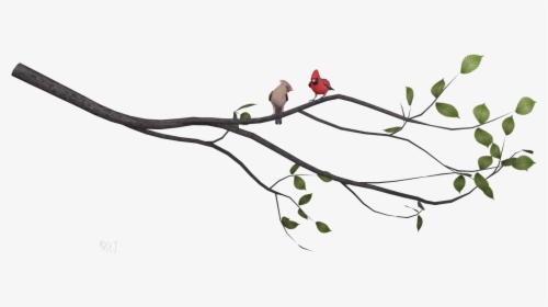 Transparent Cardinal On Branch Clipart - Cardinal, HD Png Download, Free Download