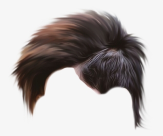 Colobus, HD Png Download, Free Download