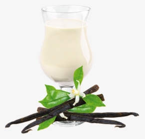 Vanilla Shake Drink Mix - Vanilla Meal Replacement Shakes, HD Png Download, Free Download