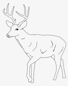 Transparent Reindeer Antler Png - Easy Mule Deer Drawings, Png Download, Free Download