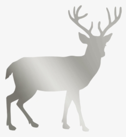 Silver, Stag, Deer, Christmas, Animal, Card - Deer Silhouette Png, Transparent Png, Free Download