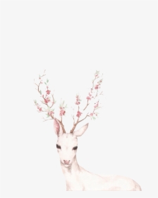 Deer White, HD Png Download, Free Download