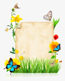 Butterfly Borders And Frames, HD Png Download, Free Download