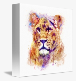 Lioness Art Transparent, HD Png Download, Free Download