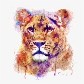 Lioness Art Transparent, HD Png Download, Free Download