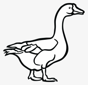 28 Collection Of Duck Clipart Black And White Png - Goose Black And White Clip Art, Transparent Png, Free Download