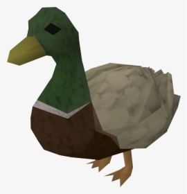 Rs3 Mega Duck, HD Png Download, Free Download