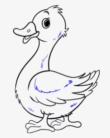 Clip Art Drawn Ducks - Duck Drawing Transparent, HD Png Download, Free Download