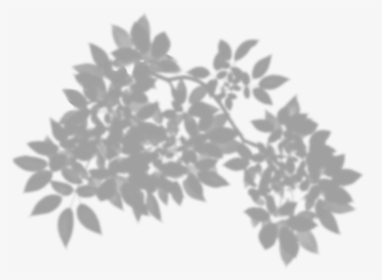 Tree Shadow Png Clip Art - Transparent Plant Shadow Png, Png Download, Free Download