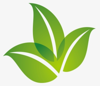 Transparent Green Leaf Logo, HD Png Download, Free Download