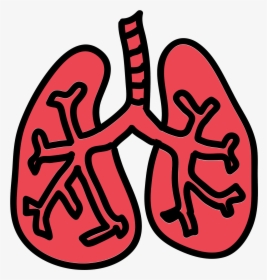 Lungs Png - Human Lungs Transparent Background, Png Download, Free Download