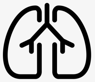 Transparent Lungs Png - Icon Lungs Free, Png Download, Free Download
