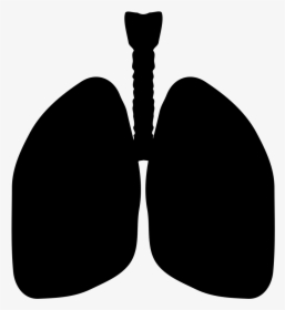 Lungs Silhouette - Lungs Clipart Silhouette, HD Png Download, Free Download