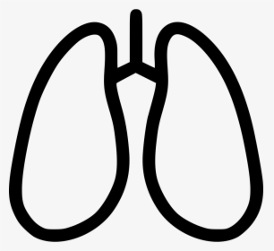 Anatomy Detoxification Hepatology Lungs Breathe Pulmonology - Pulmonology Icon Png, Transparent Png, Free Download