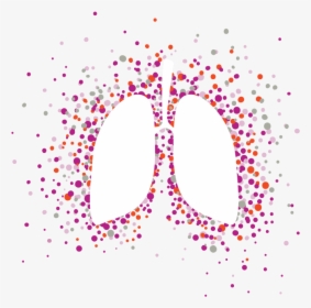 Lungs Png, Transparent Png, Free Download