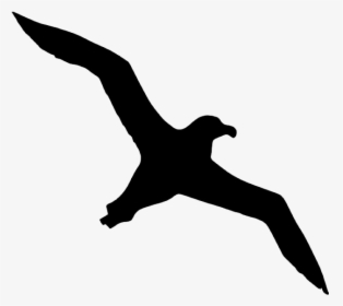 Bird Albatross Icon - Albatross Silhouette, HD Png Download, Free Download