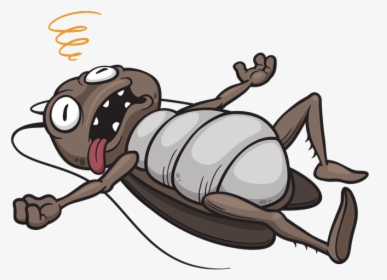 Dead Cockroach Cartoon, HD Png Download, Free Download